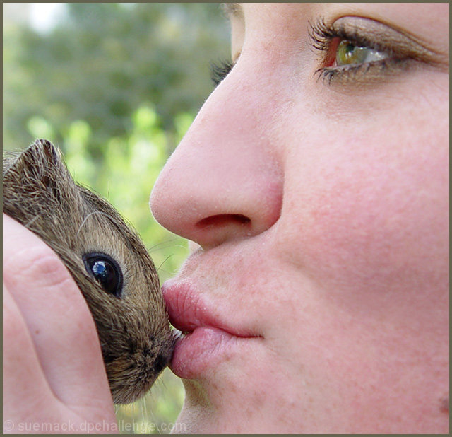 Ummm....I said to kiss a frog!!