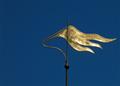 Wind vane