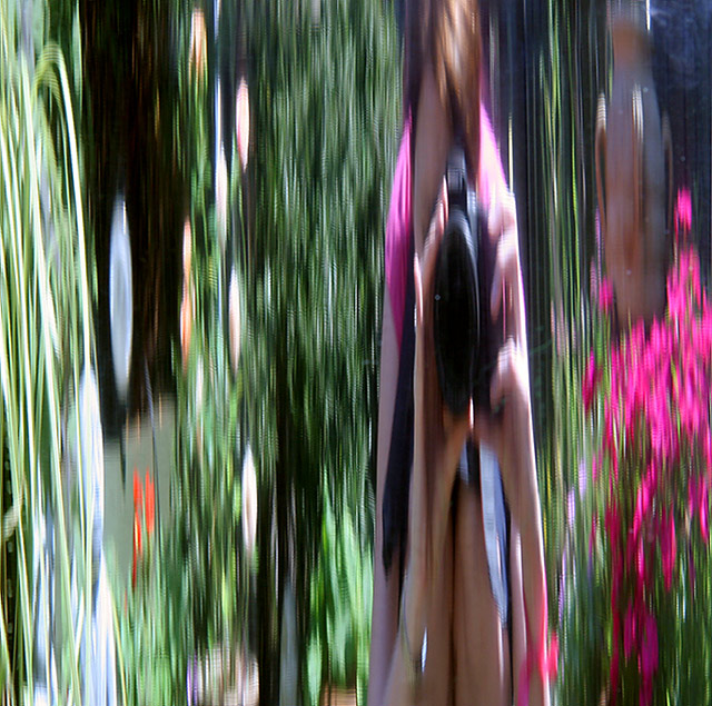 Self Portrait in Metal Garden