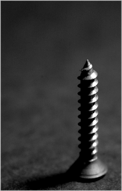 Portrait of an Old Screw Up