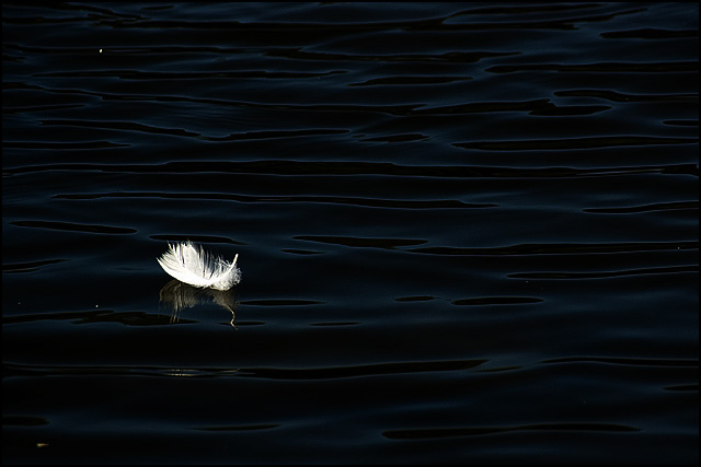 Once, I flew