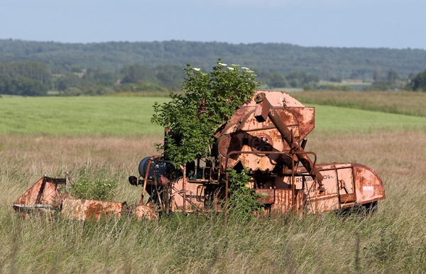 The old harvester