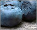 Summer Blueberries