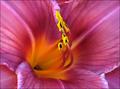 One Day of Beauty