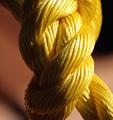 Yellow Knot