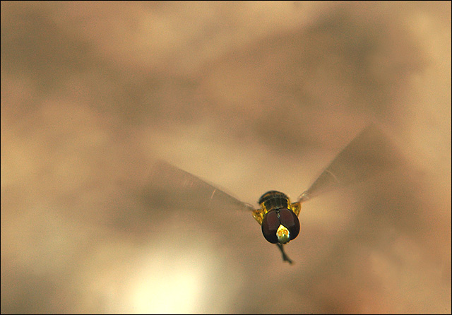 It's about to get personal. (1:1 macro)