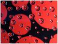 Fantasy Circles