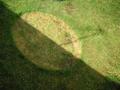 sundial