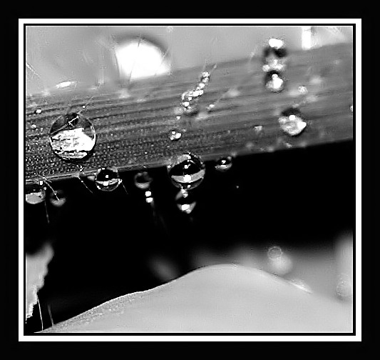 Equidistant From the Centre After the Rain