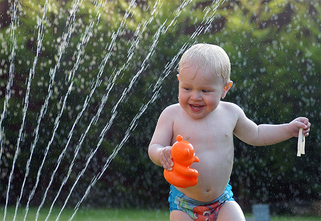 Water Sprinkler on a Hot Day