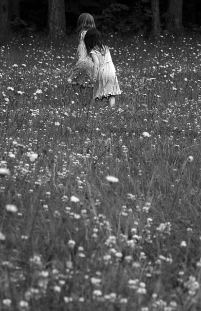 Picking Flowers for Mommy