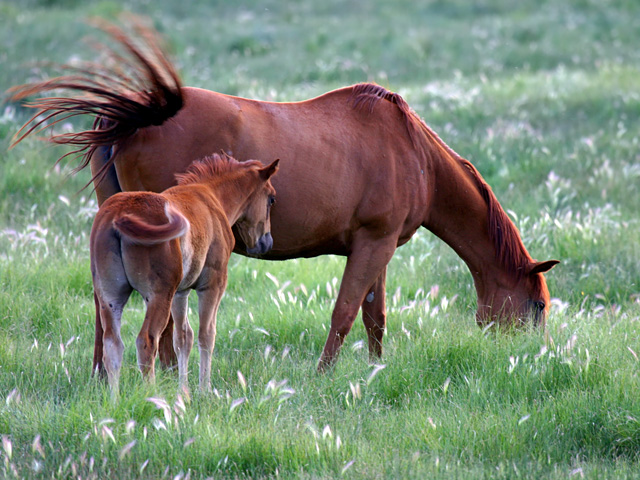 Mother and Child