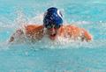 Splash