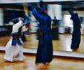 Gotcha!!! (Kumdo Martial Arts)