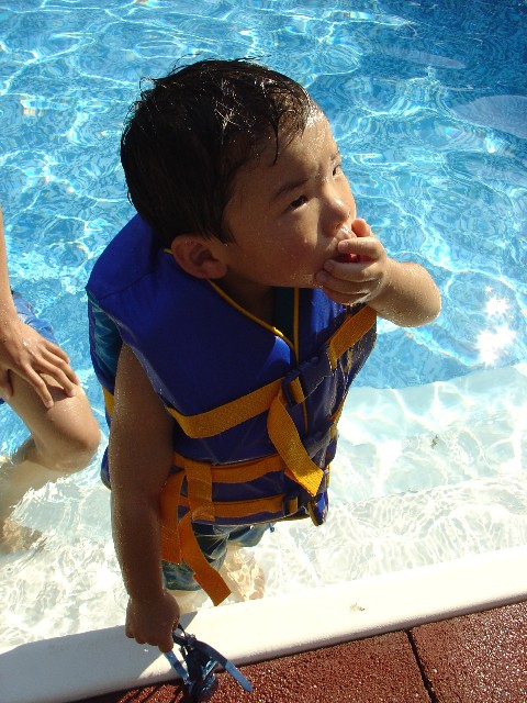 The Swimmer