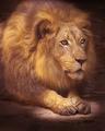 Lionized