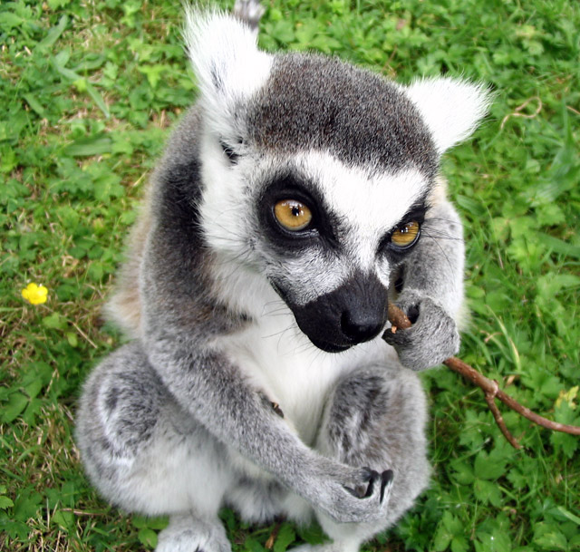 Are you looking at me?