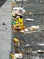 The Day After
