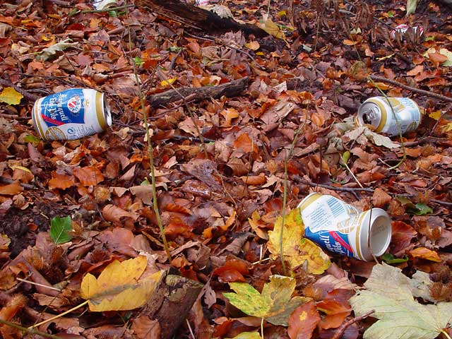 What a waste .....