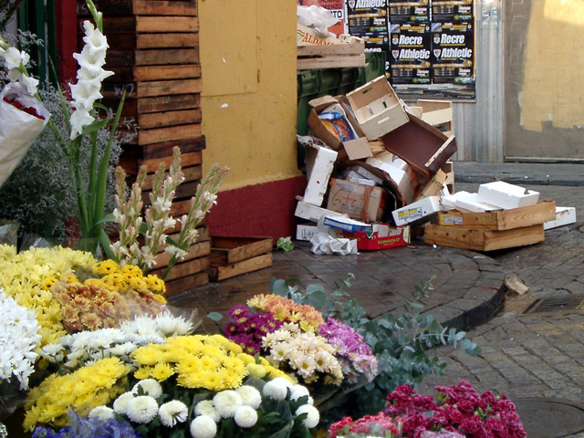 Flowers & rubbish
