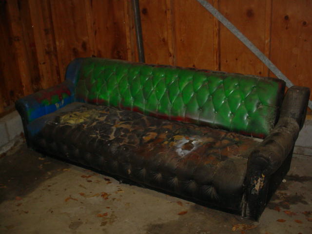 Brand new couch