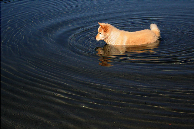 Making Waves
