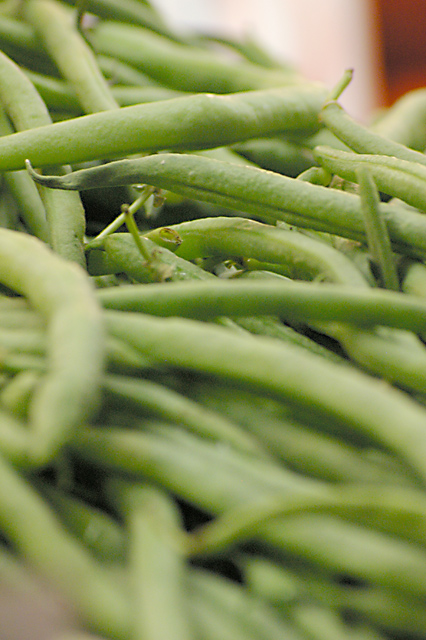 Rolling mountains of Beans