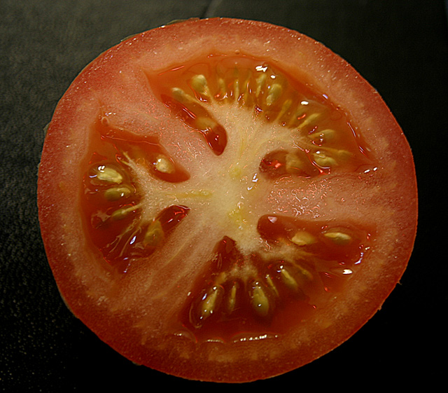 Tomato