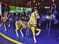 My Little Pony