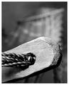 Roped and Twined