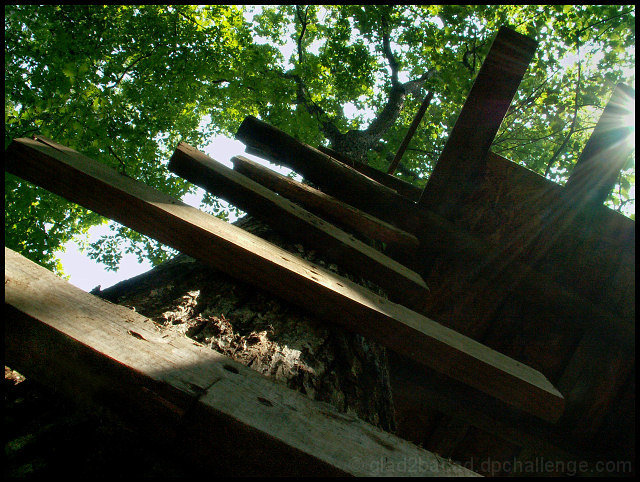 Treetop Steps