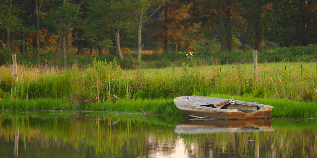 Water Logged