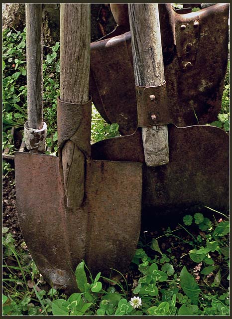 Tools of the Lazy Gardener