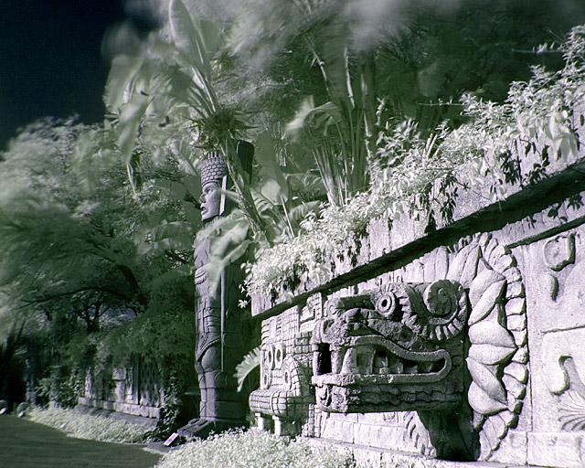 Warrior and Dragon - Infrared 200 Sec.