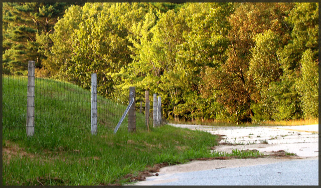 abandoned road