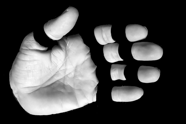 Dismembered hand