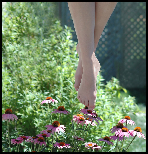 A Delicate Balance