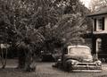 1954 Chevrolet/1974 Garden Accessory