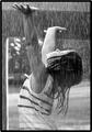 bring on the rain