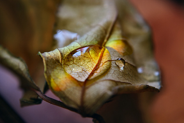 Sunshine After Rain (from "Why Worry?" by Mark Knopfler)