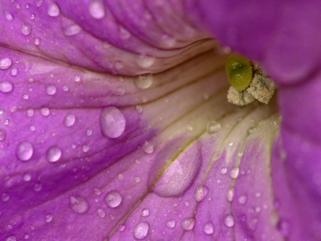 Shelter From The Rain