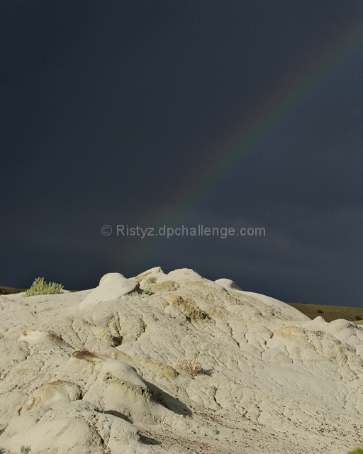 Desert Shower