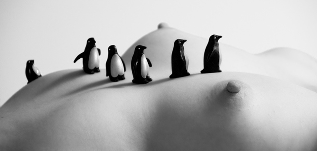 March of the Penguins