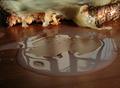Toasted cheese and an ice cold glass of milk