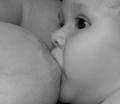 Momma's Milk