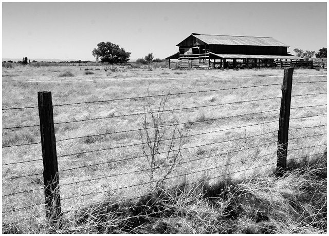 Dairy Ranch -- Where's the Beef?