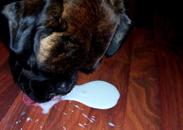 Spilt milk ?... not a problem...