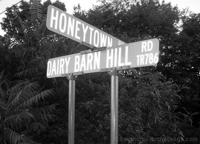 Dairy Barn Hill