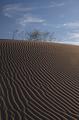 Dunes & Light