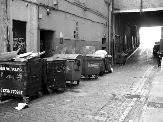 Dumpsters & Litter